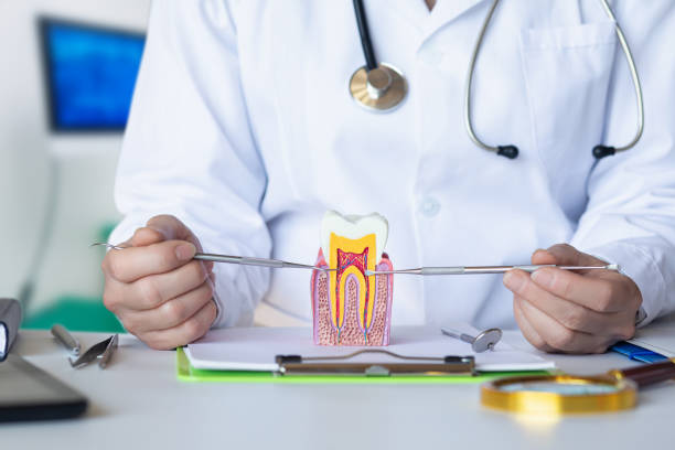 Best Weekend Emergency Dentist in Cresco, IA